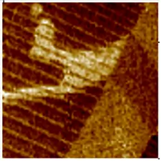 Пьезоотклик, Pz Пьезоотклик, Pz