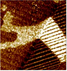 Пьезоотклик, Px Пьезоотклик, Px